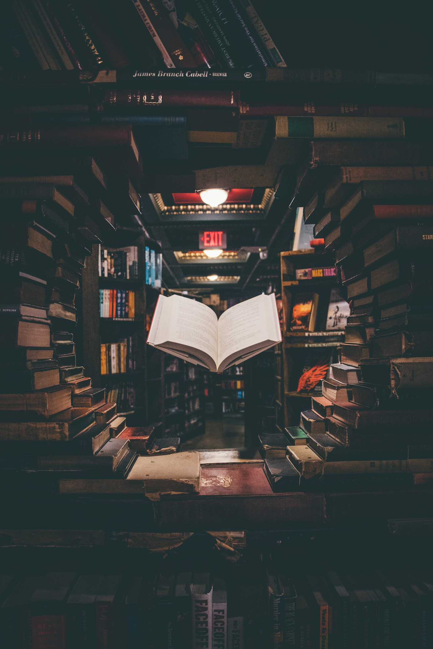 Kärleken till berättelser: Vineta Publishing