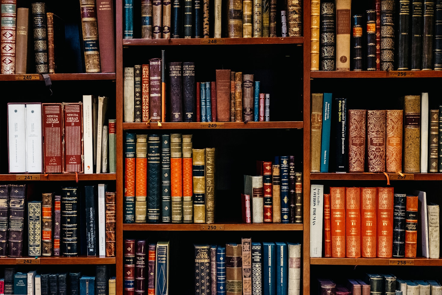 Vineta Publishing: En passion för läsning
